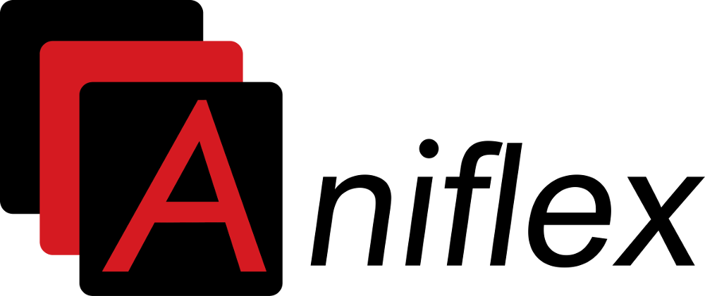 Upominki Aniflex Sp.j.